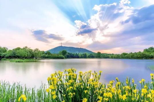 合肥大蜀山国家森林公园合肥大蜀山国家森林公园(花卉:红梅,白梅,迎春