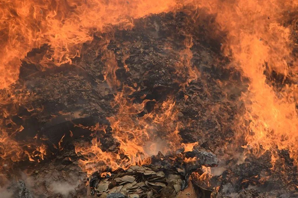 2017年，喀麦隆焚毁了3吨非法交易的穿山甲鳞甲。图片：U.S. Fish and Wildlife Service Headquarters / Wikimedia Commons