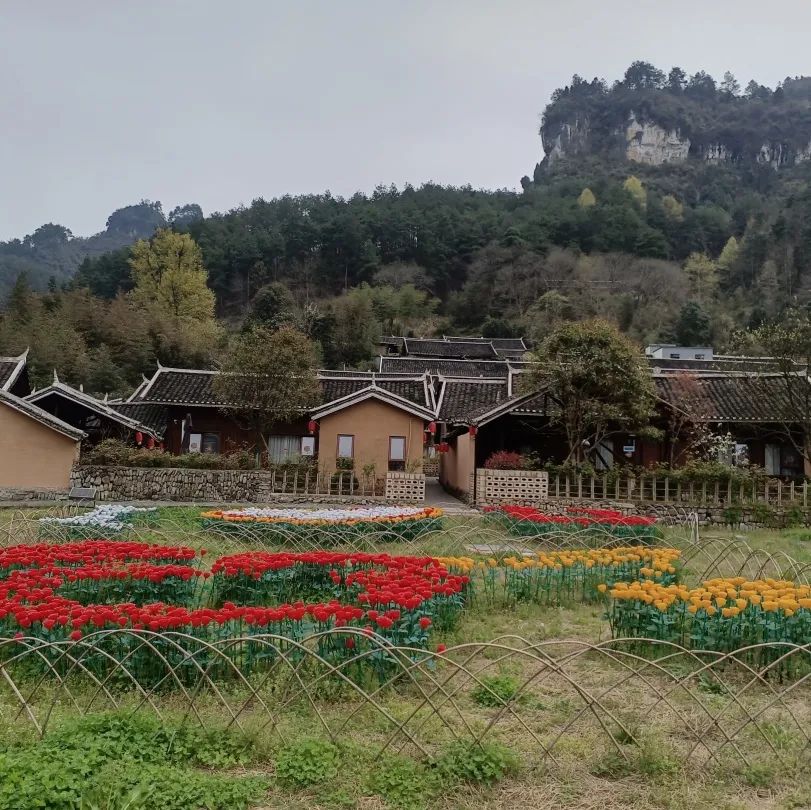 踏春啦春暖花开共赴牙溪生态农场
