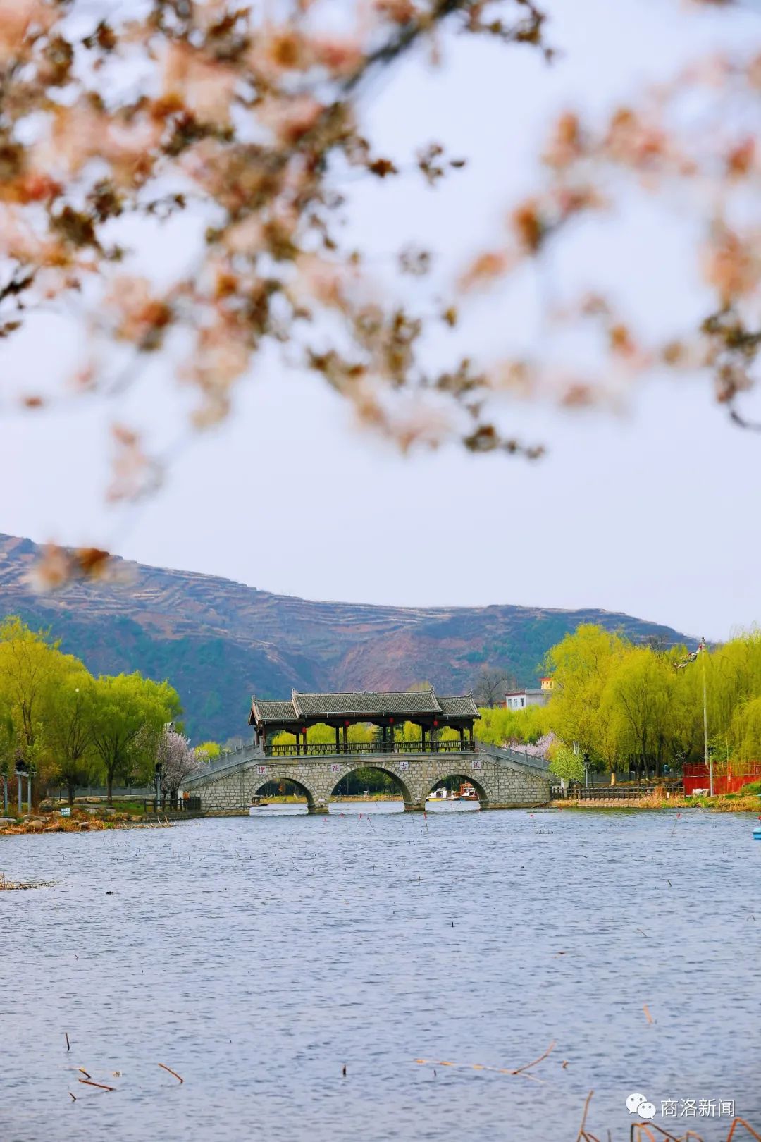 近日,走进丹凤县棣花古镇 处处洋溢着和暖的气息