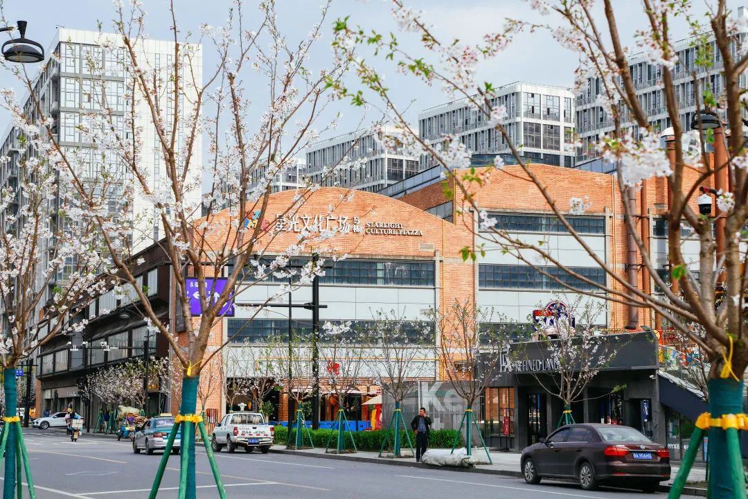 下城新天地樱花蓄势盛开!错过等一年!