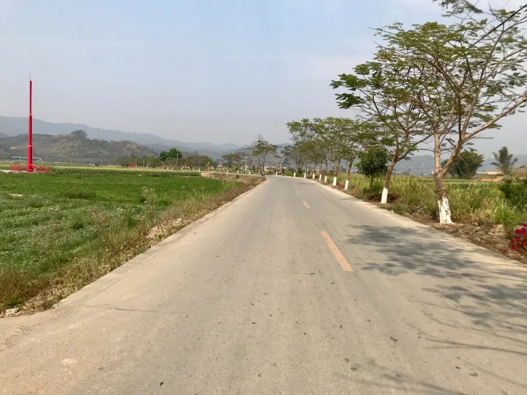 奋斗百年路启航新征程这5年芒市交通架起贴心路