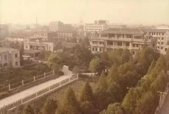 建筑可阅读｜沈家花园：奉贤唯一保存完整的百年花园