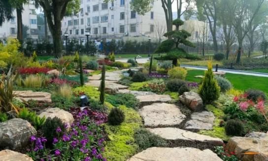 建筑可阅读｜沈家花园：奉贤唯一保存完整的百年花园