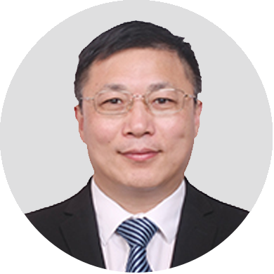 牵头发起人:王成勇 广东工业大学副校长