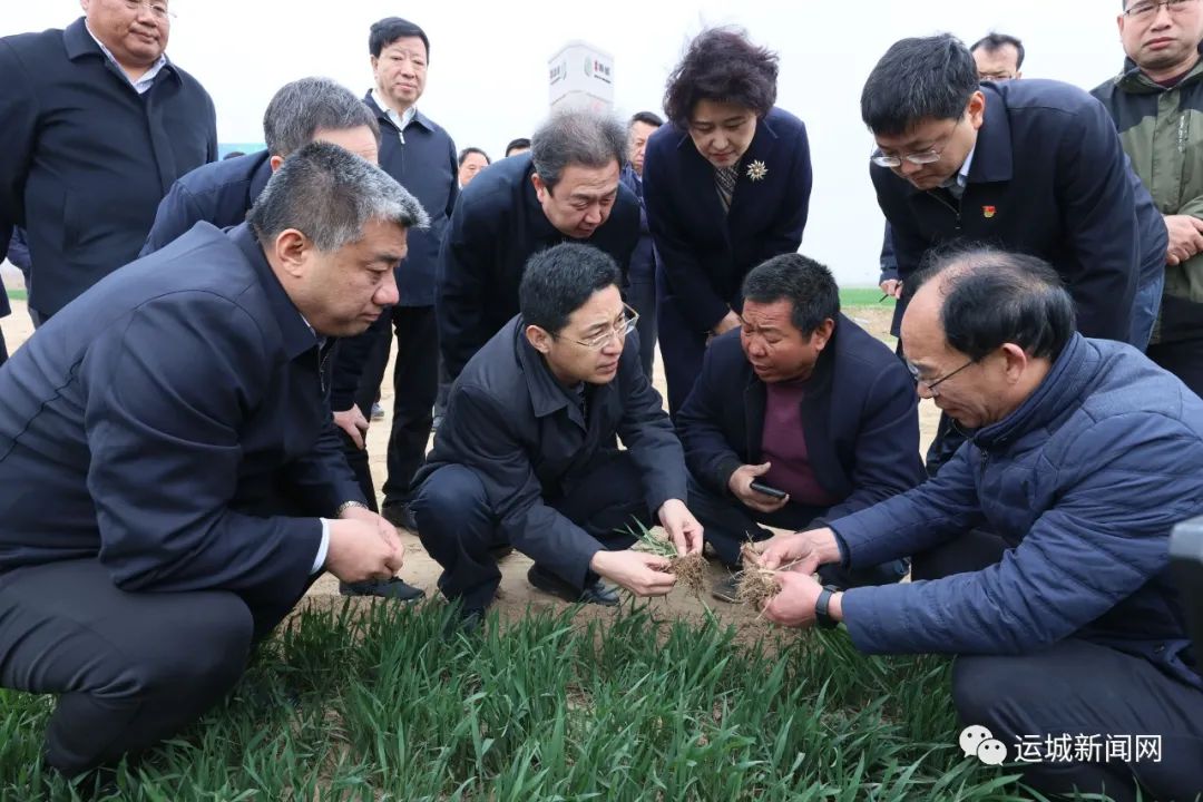 储祥好到芮城调研春浇备耕项目建设安全生产和文物保护等工作