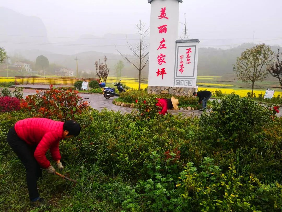 开展人居环境整治扮靓远安村居颜值