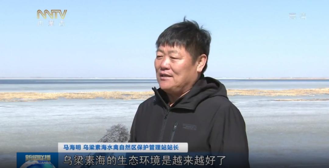 马海明从小生活在乌梁素海,已经坚持鸟类保护30多年,候鸟北归,马海明