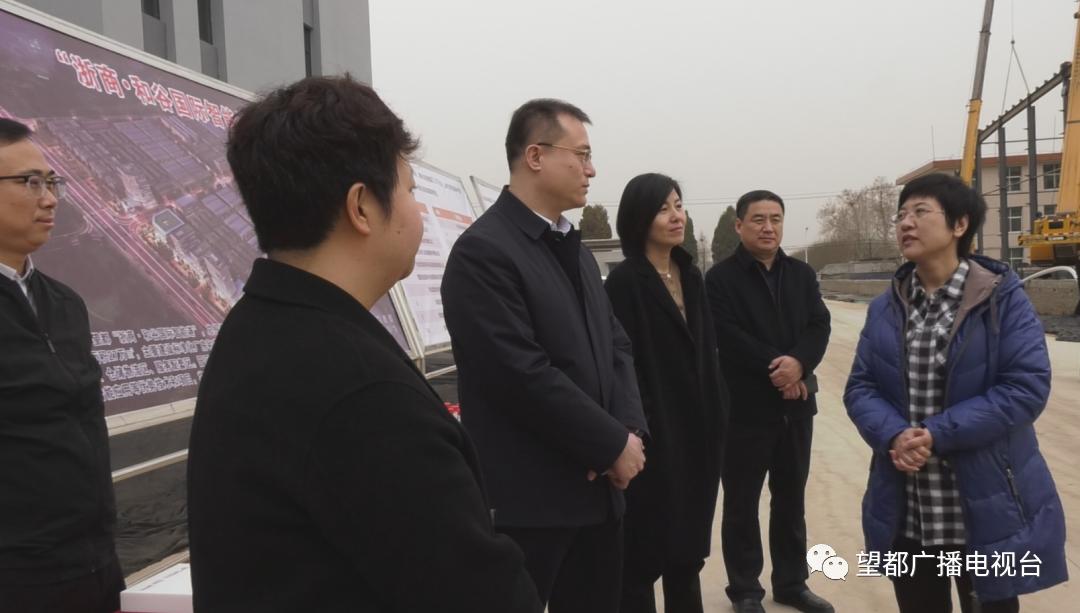 省大督办第七督导组来望都县进行督查