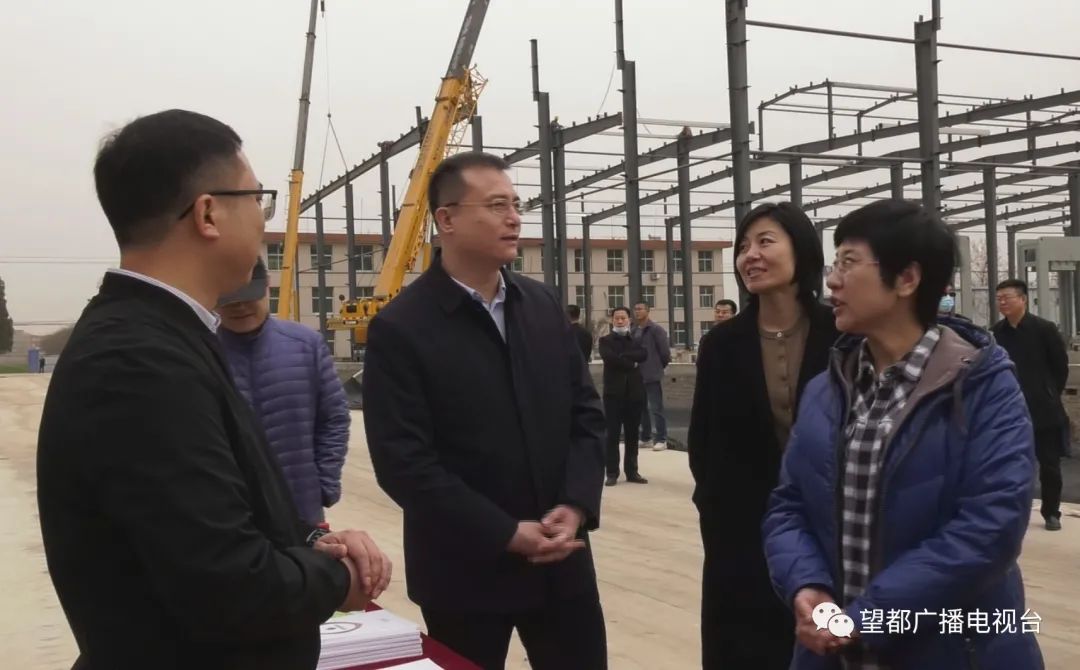 省大督办第七督导组来望都县进行督查