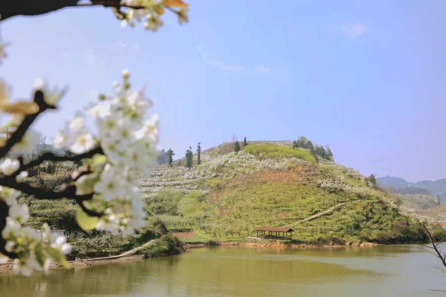 修文县谷堡镇折溪村:春暖花开游客来