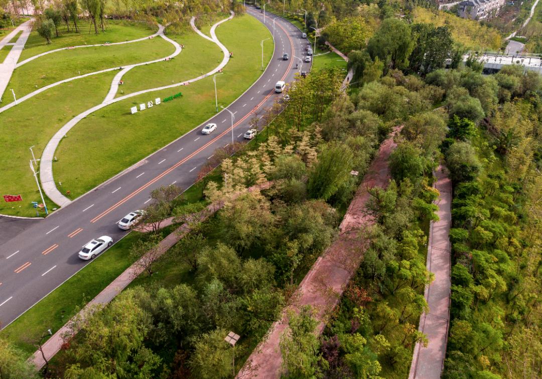 共创幸福宜宾丽雅给了宜宾人想要的诗和远方