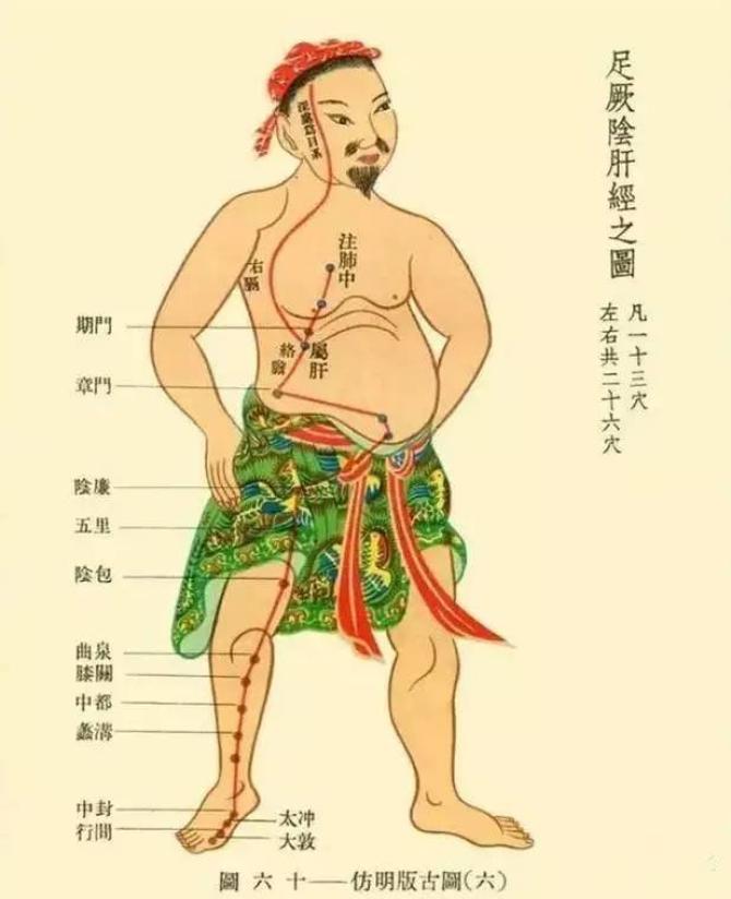 春天阳气生发,靠的就是胆经,胆主生阳.