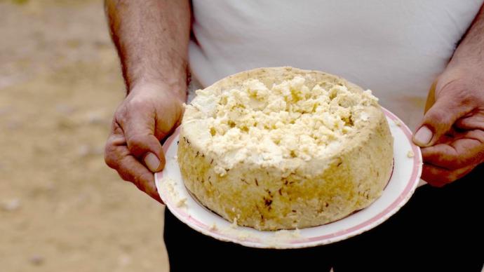 意大利禁止出售"世界最危险的奶酪"，违法者罚款5万欧元