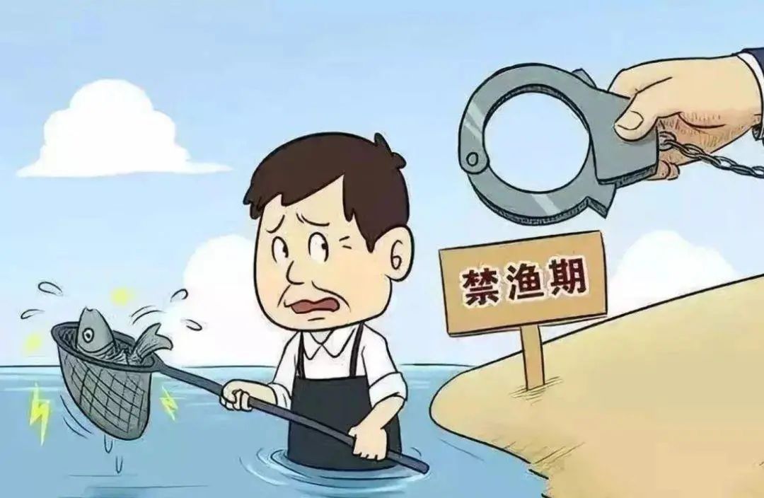 捕捞0 8公斤水产品 为什么构成犯罪 淘宝店铺推荐 曝谢娜录节目发飙 骨盆炎