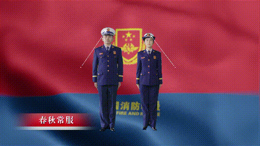 肩章,胸徽,胸号牌,腰带和绶带;从最新的备勤服系列穿着到夏常服帽和