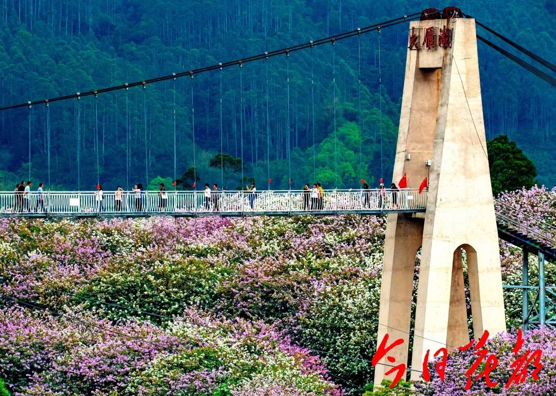 赤坭志惠农场美绝了!