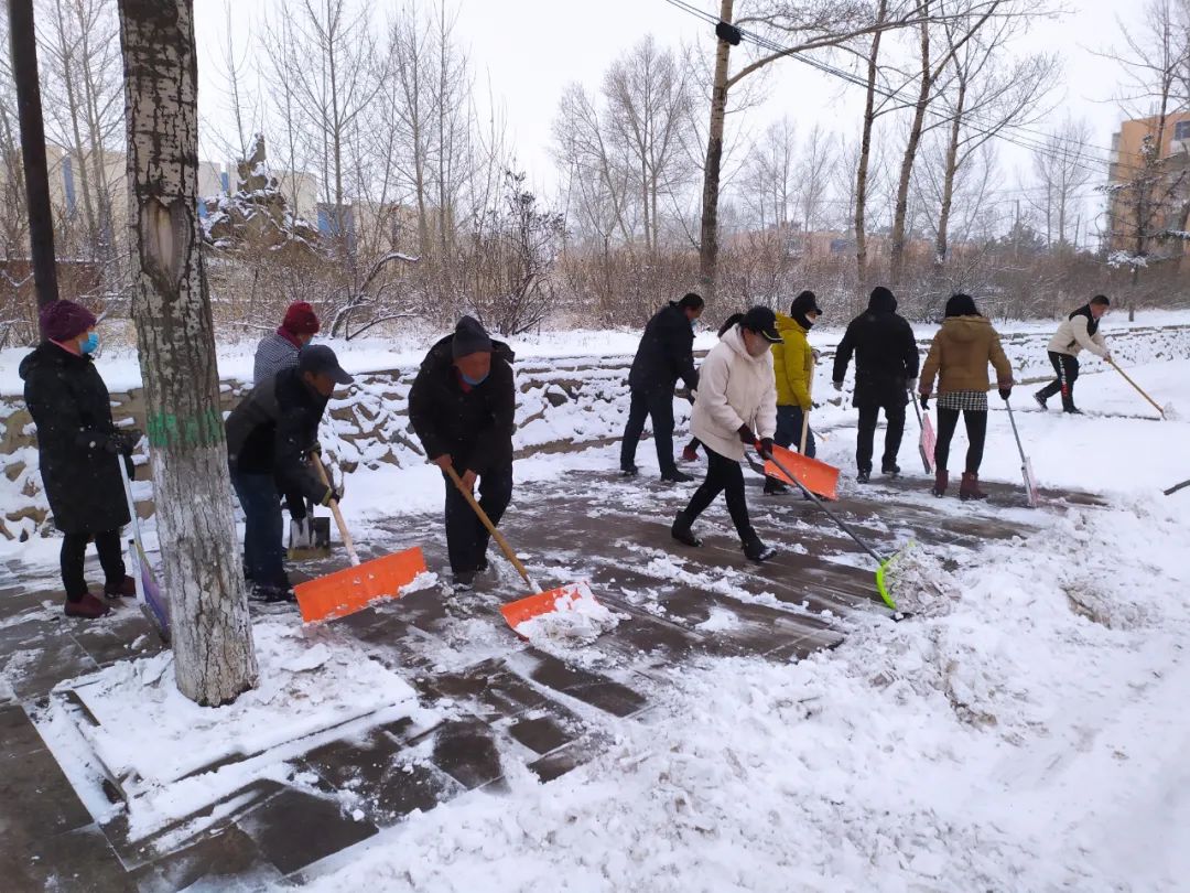 南苑社區清掃積雪(圖片/由海佳)市農村信用社清掃積雪 (圖片/繆閆妍)