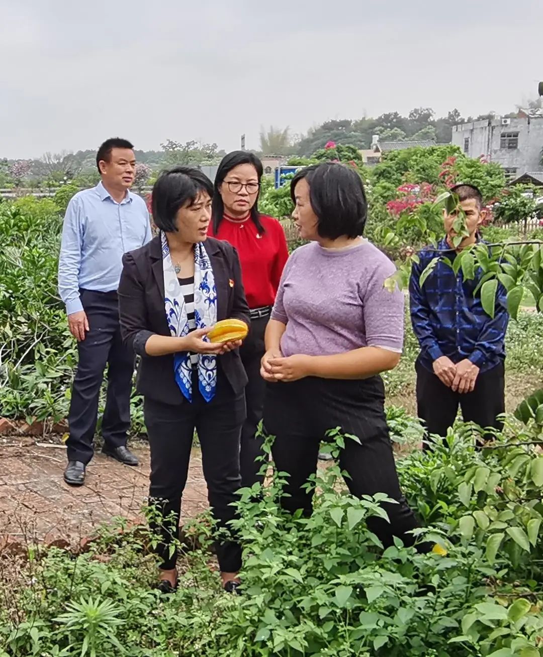 参观了广西茗桂茶业有机茶园基地,灵山县三隆镇蕃桃园农庄等巾帼基地