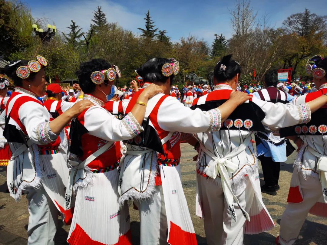 开展了三多节百人民族打跳活动,用最热情质朴的方式来展现纳西风情