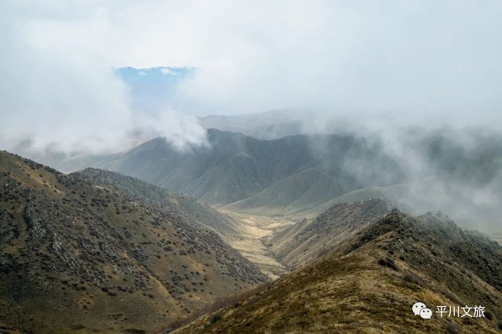 屈吴山森林公园