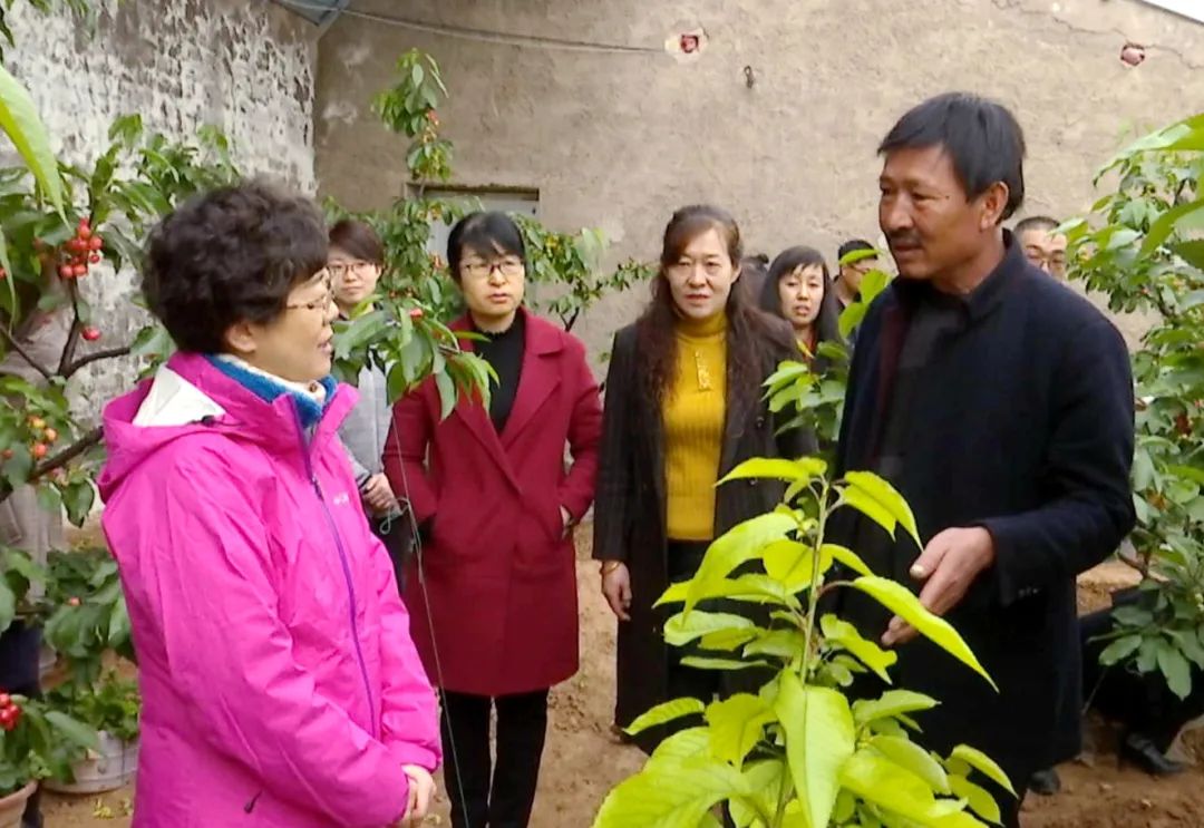 主席李安花,县委副书记岳中平,县委常委,宣传部部长李瑞兰陪同调研