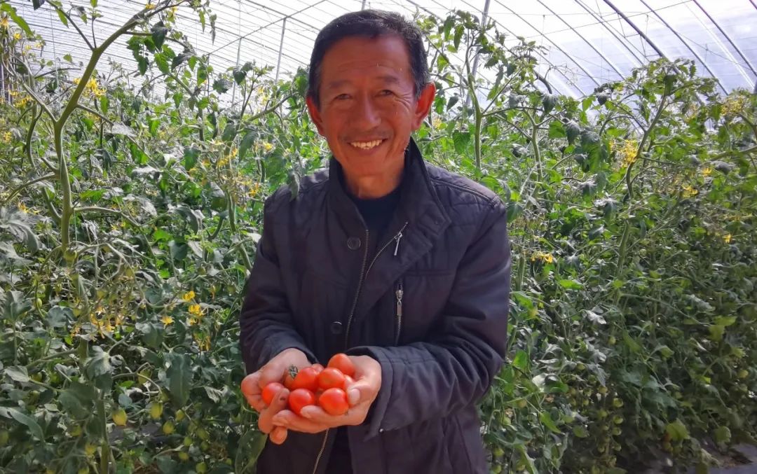 叮咚 新鲜上市 又甜又沙 中国农业银行网上银行余额查询 别忘了我裴秀智 计算机保密管理制度