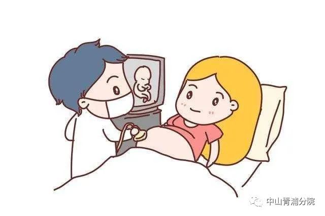 超声医学里的小知识