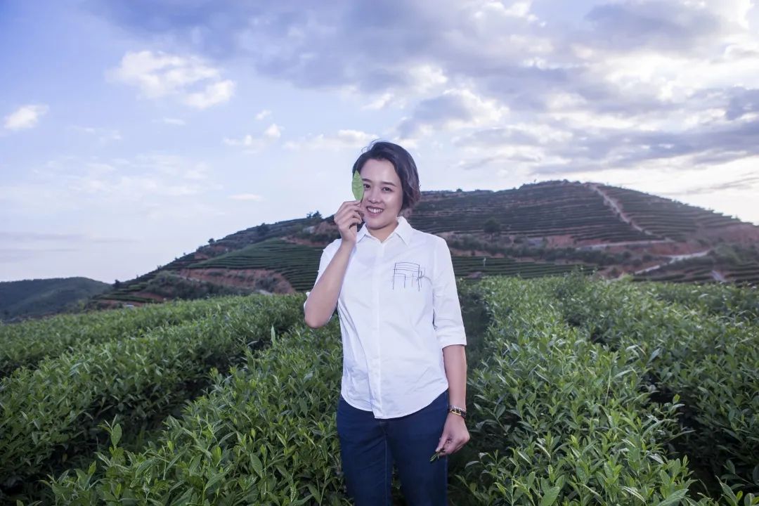 李圆圆青春伴茶香创业正当年