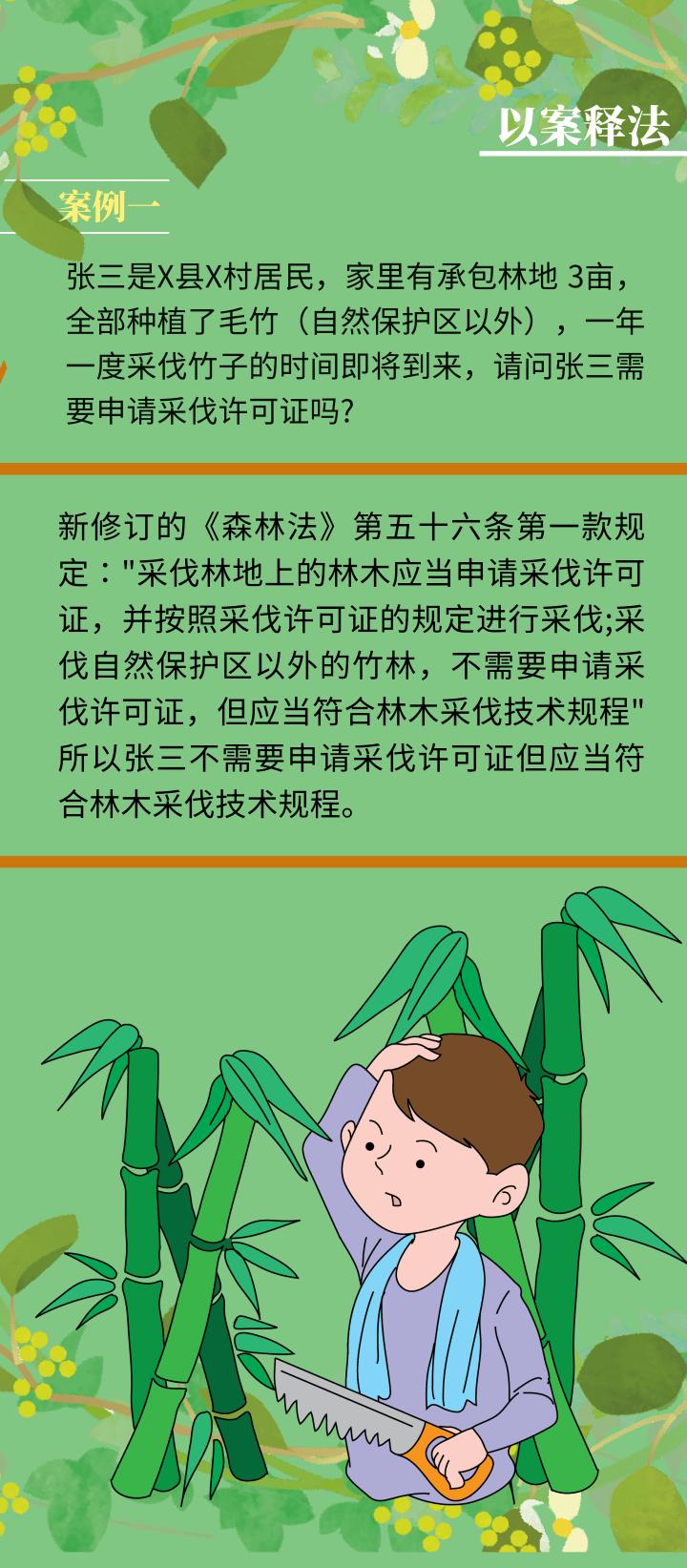 世界森林日一图读懂森林法