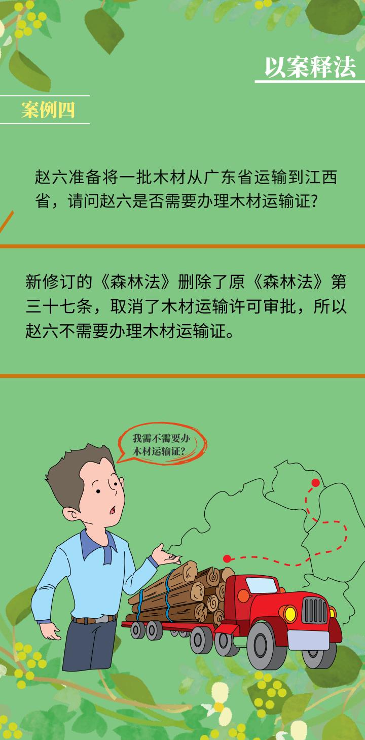 世界森林日一图读懂森林法