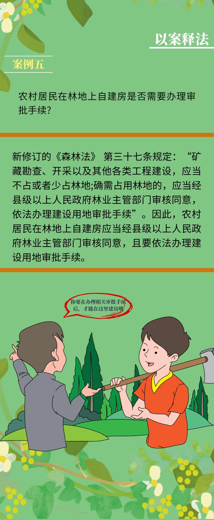 世界森林日一图读懂森林法