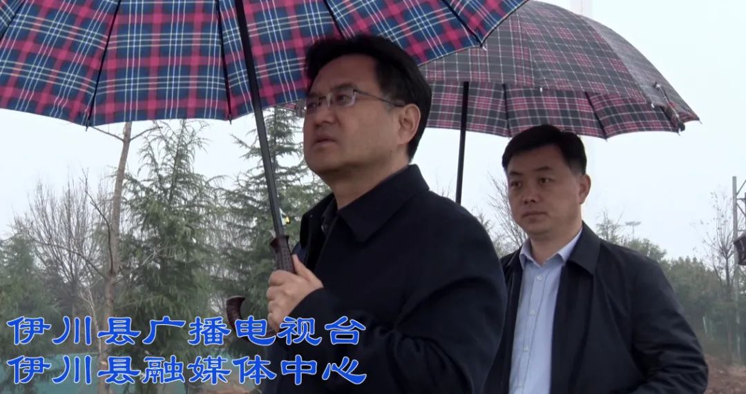 李新红调研高速廊道绿化提升工作_澎湃号·政务_澎湃新闻-the paper