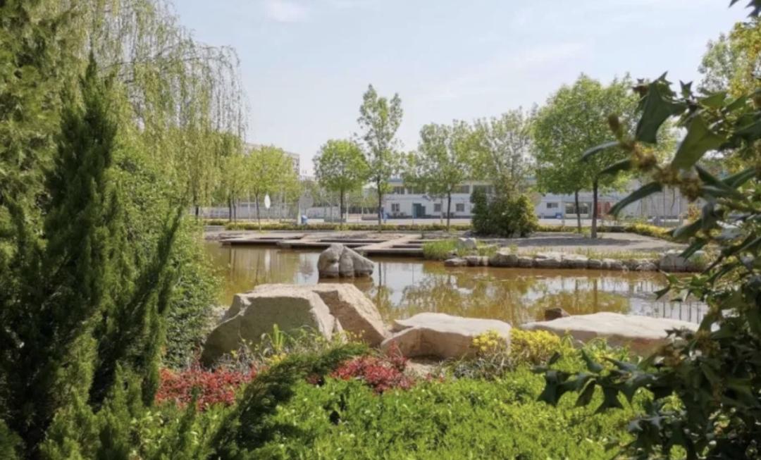 磁县一中70岁了