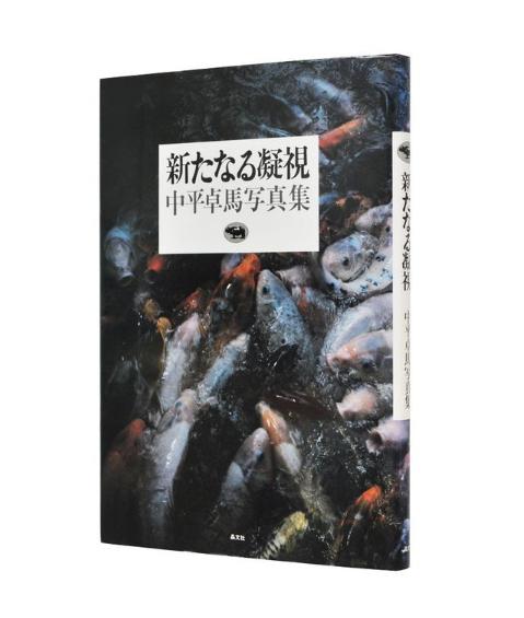 中平卓马takuma Nakahira 眼光 澎湃新闻 The Paper