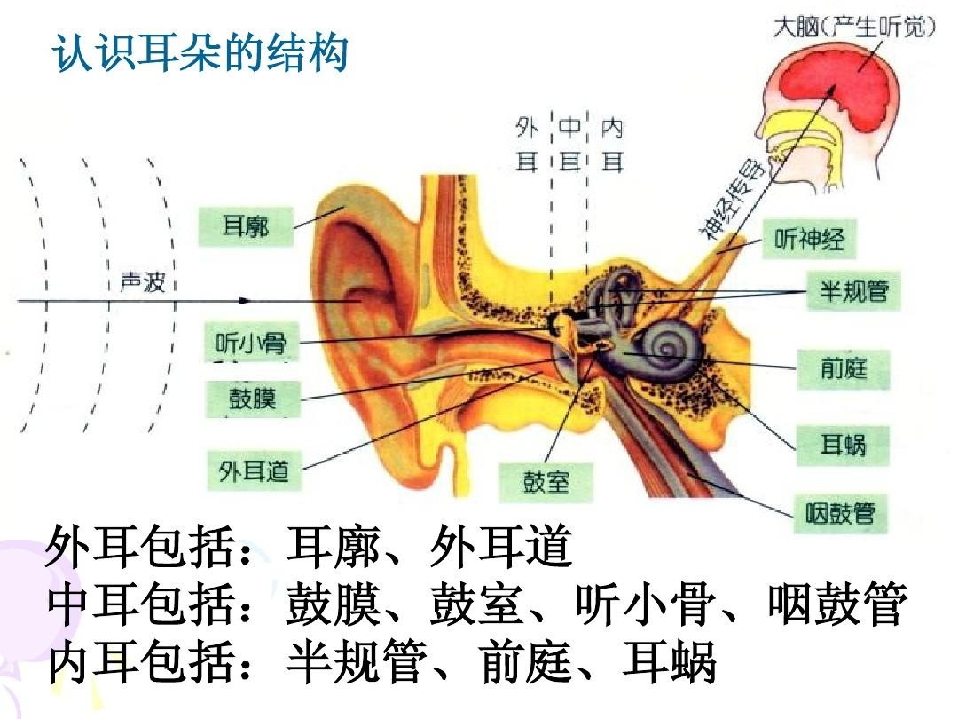 耳机时代我们的听力如何安放