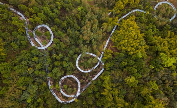 湖北三峡竹海高空玻璃漂流开滑，游客体验“巨龙下山”