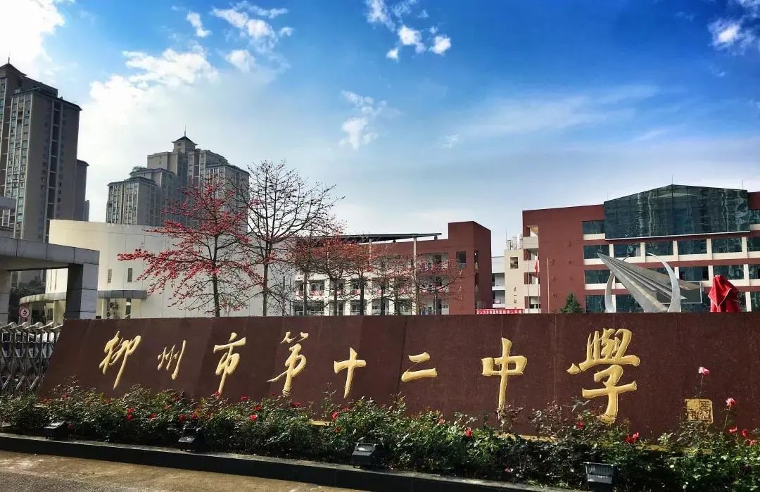 热血沸腾!柳州这所学校里的一幕,感动了无数人