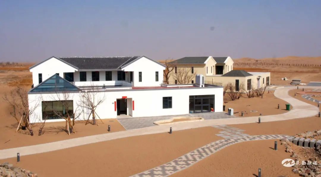 甘肃民勤:置身浩瀚大漠 欣赏诗意风光
