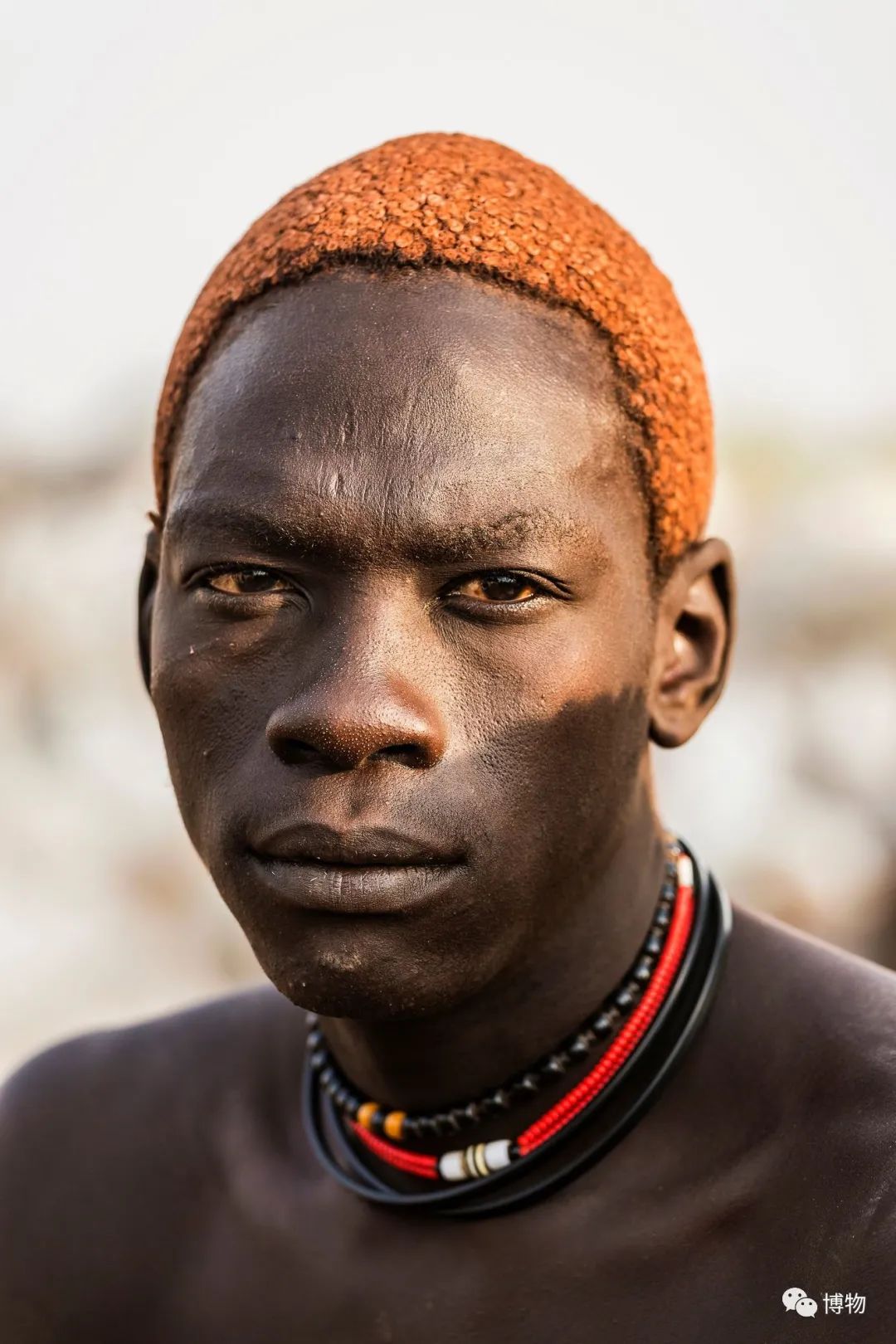 非洲巨人的一天,从牛尿洗脸漱口开始