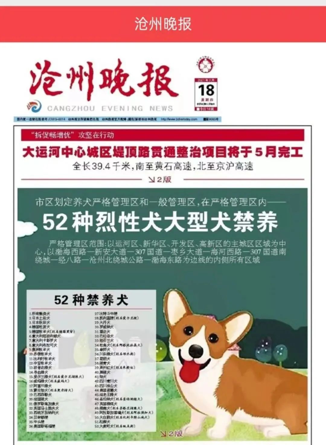 市区划定养犬严格管理区和一般管理区52种烈性犬大型犬禁养