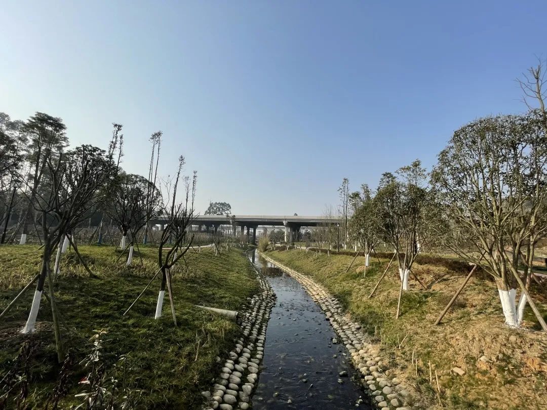 荣县河西新区湿地公园图片