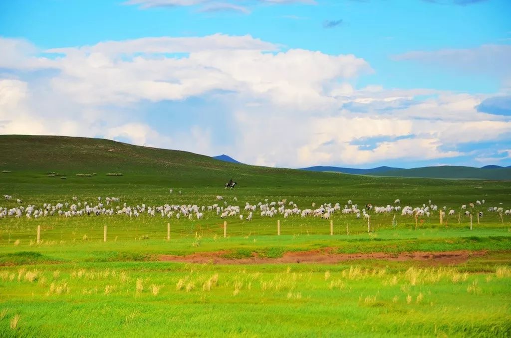 贡格尔草原你梦里去过的地方