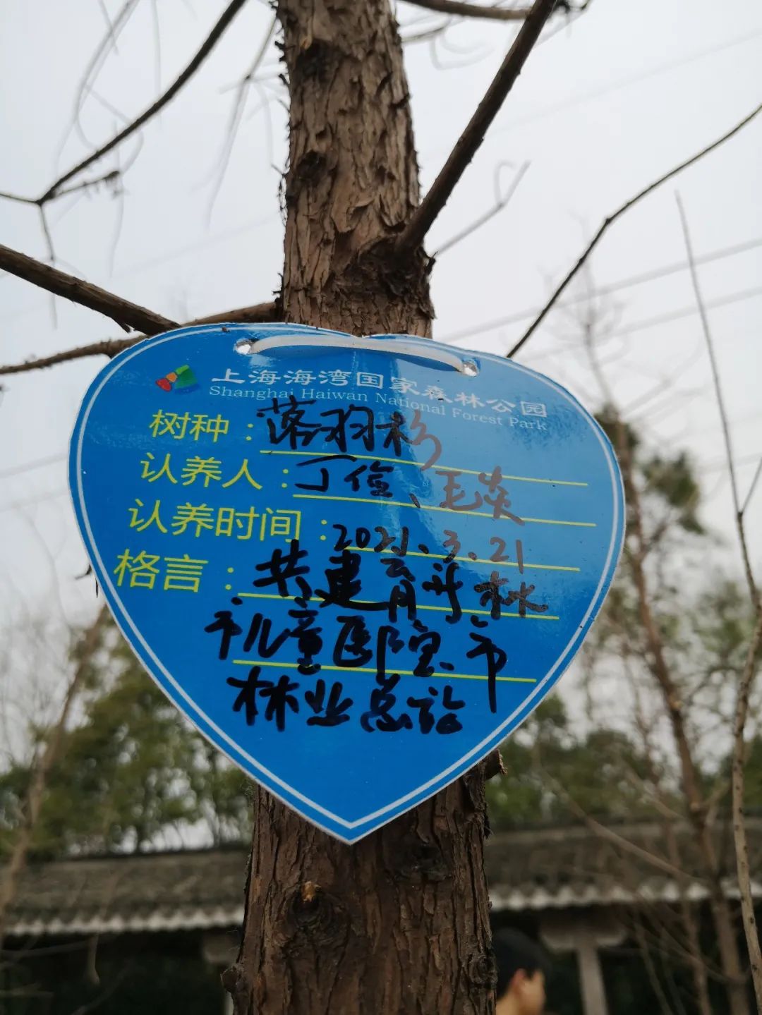 大家为亲手栽下的小树挂上认养牌,并写下祝福的寄语,希望来年春天能再