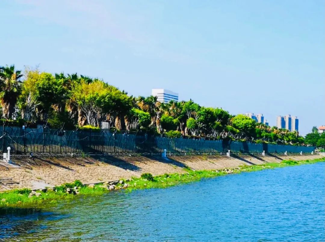 湖景宜人看,湖边水库随处可见鸟儿追逐嬉戏华丽变身,碧水静流看,江头