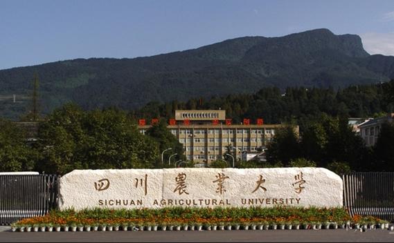 方志四川61巴蜀英烈江竹筠烈士四川大学农学院的求学岁月