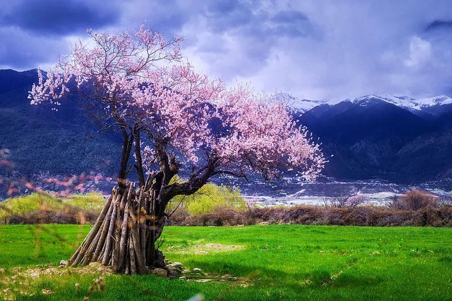 来一场徒步旅行亲密感知大自然的春天