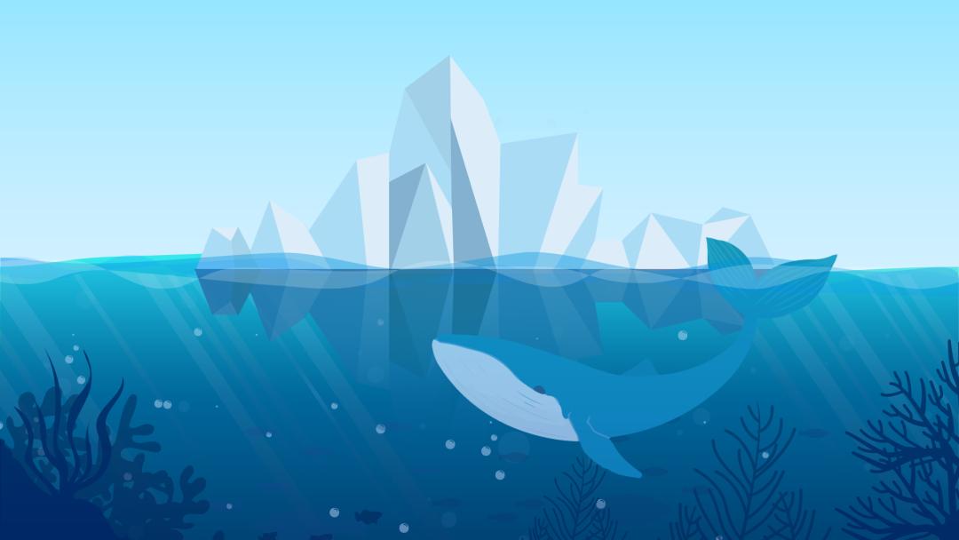 世界气象日海洋我们的气候和天气