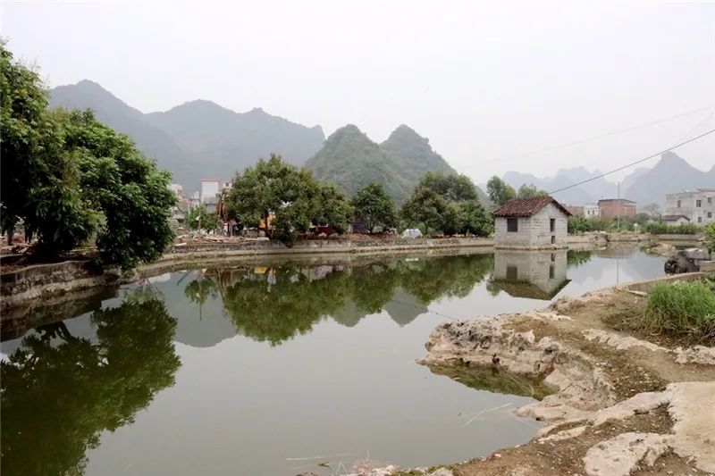 我为群众办实事通挽镇潺潺小农水助力春耕生产