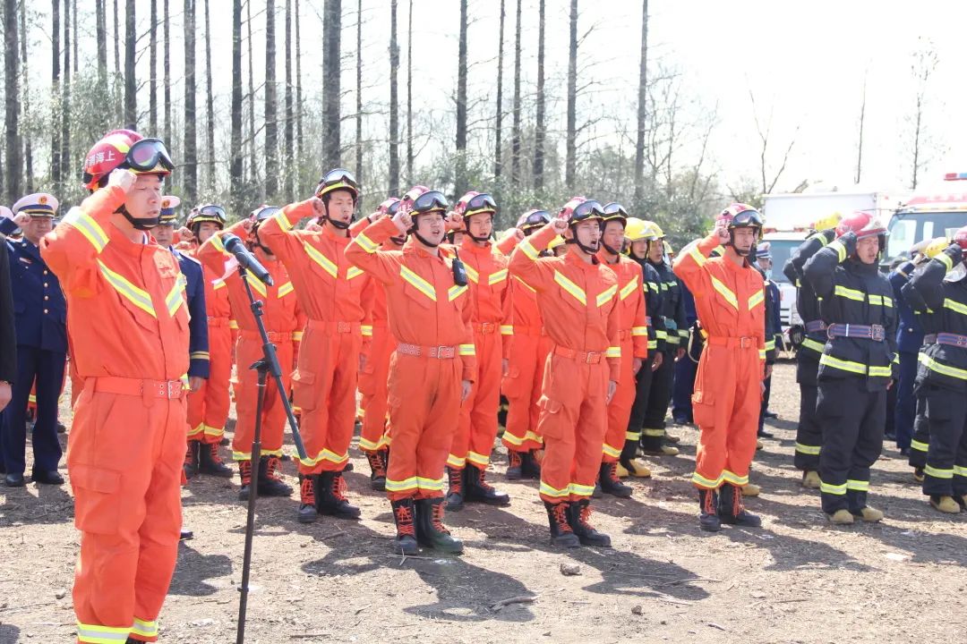 护航花博崇明消防举行花博会森林灭火救援实战演练